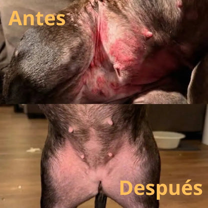 Multivitamínico PW-01™ Adiós alergias y comezón en sólo 21 días