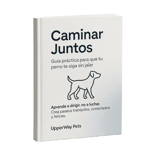 E-BOOK práctico para que tu perro te siga sin jalar