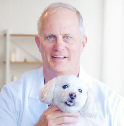 veterinario