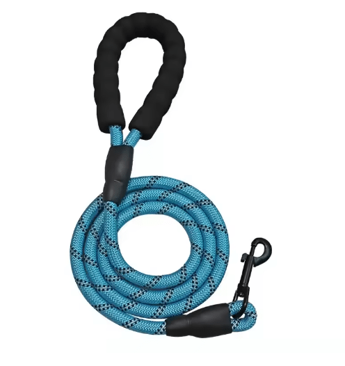 Correa para perro - Golden Retriever - Pet is Wellness