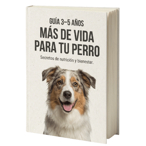E-BOOK 3-5 años más de vida para tu perro - Pet is Wellness