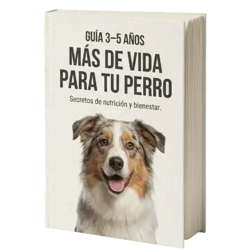 E-BOOK 3-5 años más de vida para tu perro