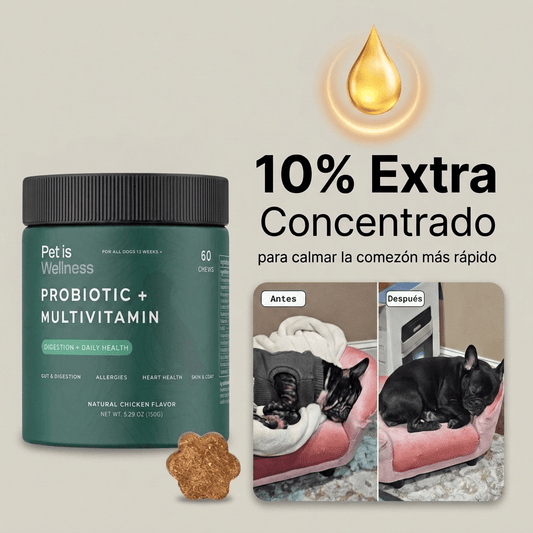 Formula Extra Concentrada 10% - Pet is Wellness