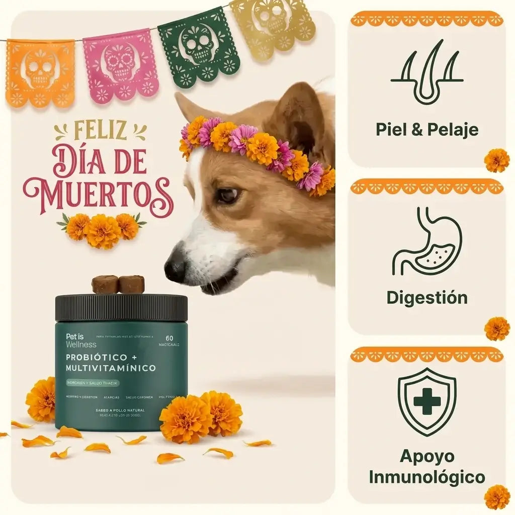 Multivitamínico PW-01™ Adiós alergias y comezón en sólo 21 días.